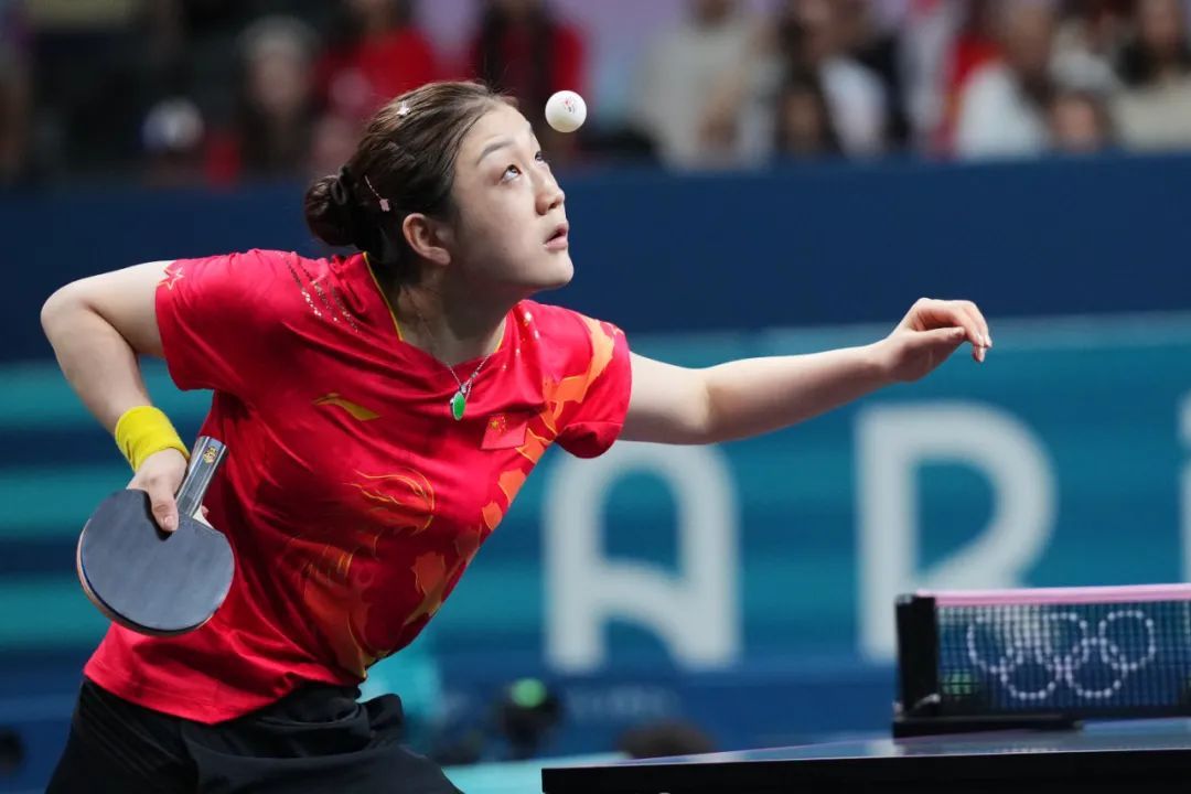 的带领下 的带领下