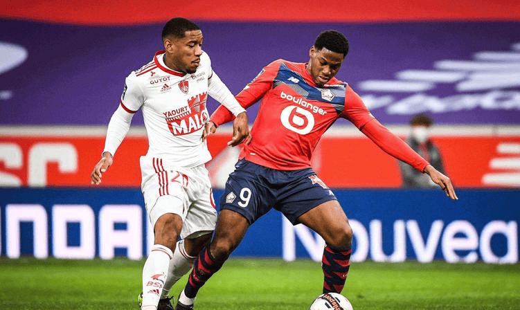 训练计划 训练计划